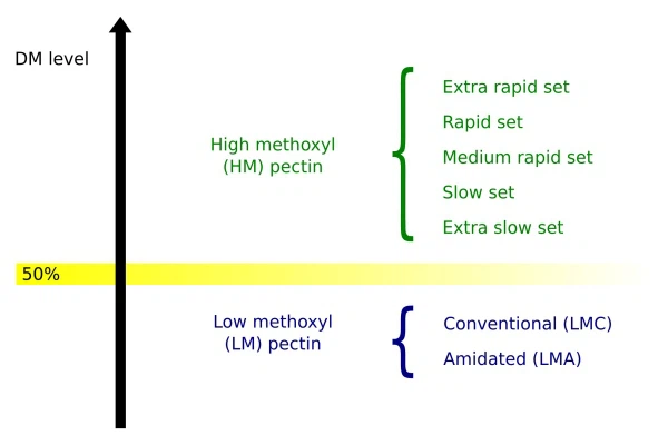 Types of Pectin Types of Pectin