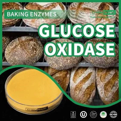 গ্লুকোজ অক্সিডেস প্রযুক্তির সাথে সতেজতা সরবরাহ করুন! সিএএস নম্বর: 9001-37-18